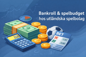 Guide för spelkassa och spelbudget för utländska bettingsidor